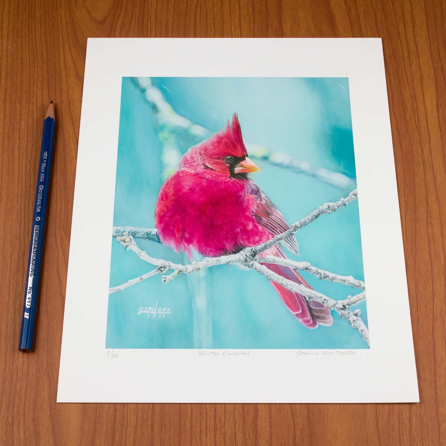 Winter Cardinal, Signed Art Print