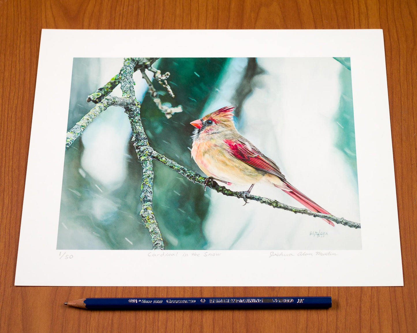 Signed fine art print by artist Joshua Martin of Cardinal in Winter.