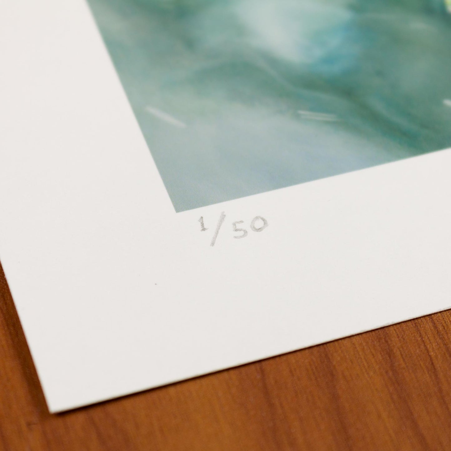 Detail of Signed fine art print by artist Joshua Martin of Cardinal in Winter.