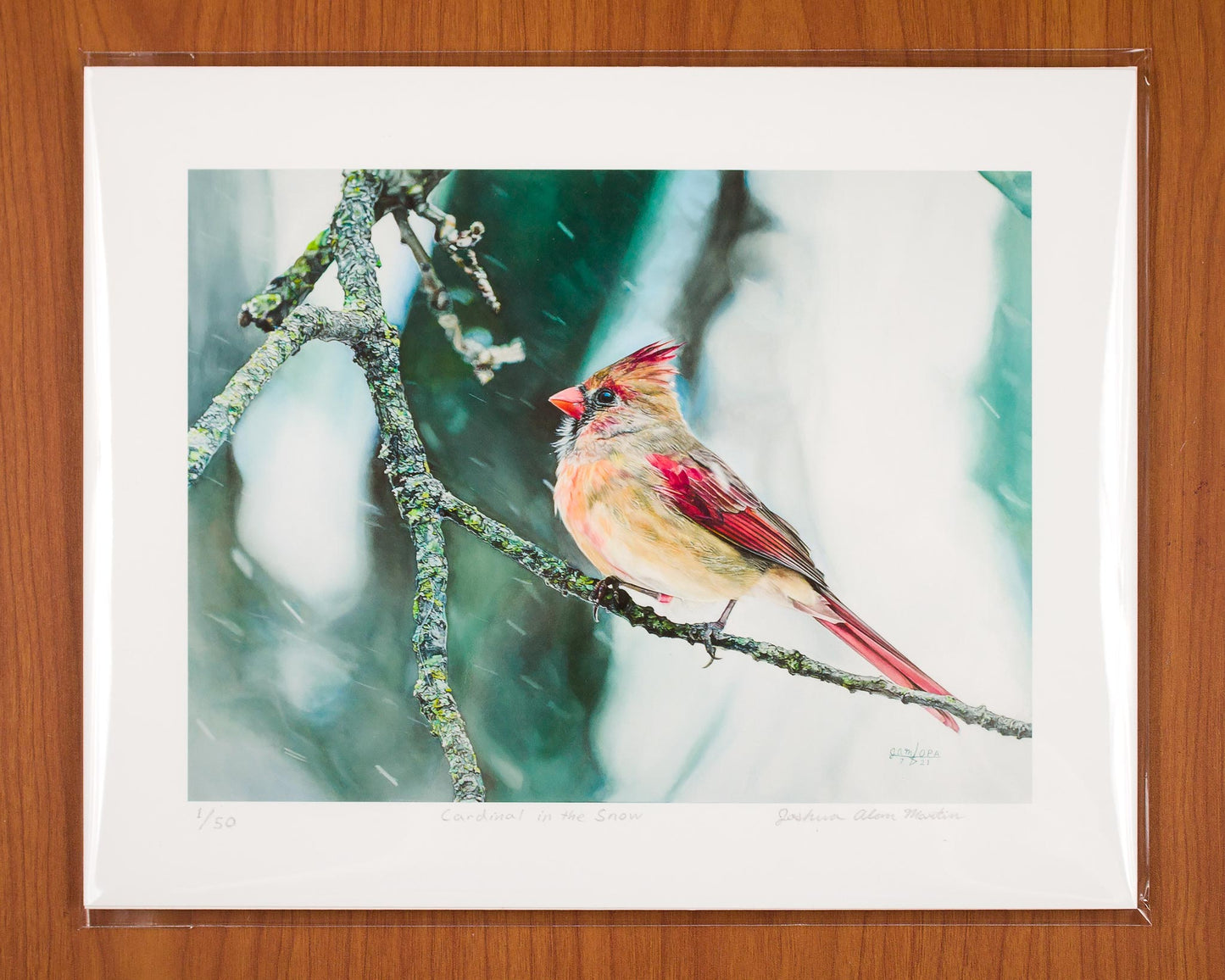 Signed fine art print by artist Joshua Martin of Cardinal in Winter..