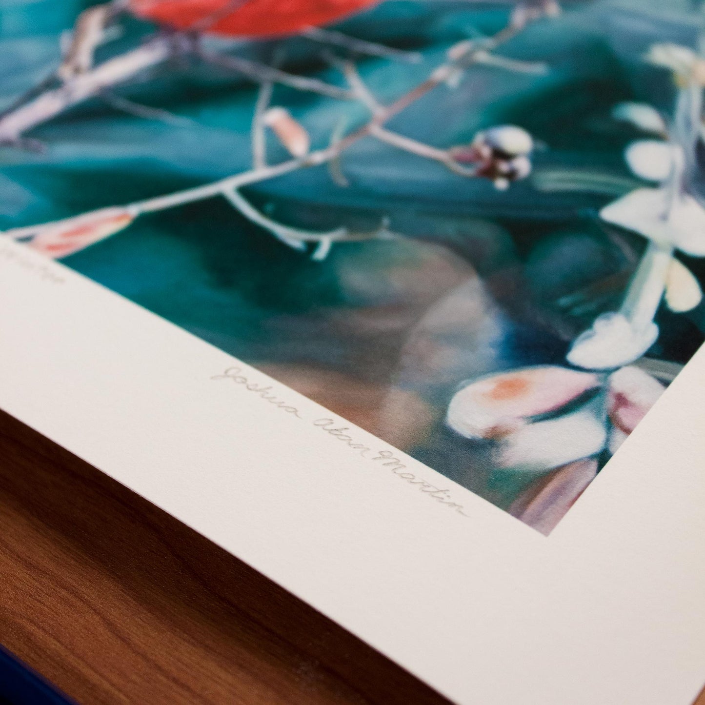 Detail of Signed fine art print by artist Joshua Martin of Cardinal in Winter.