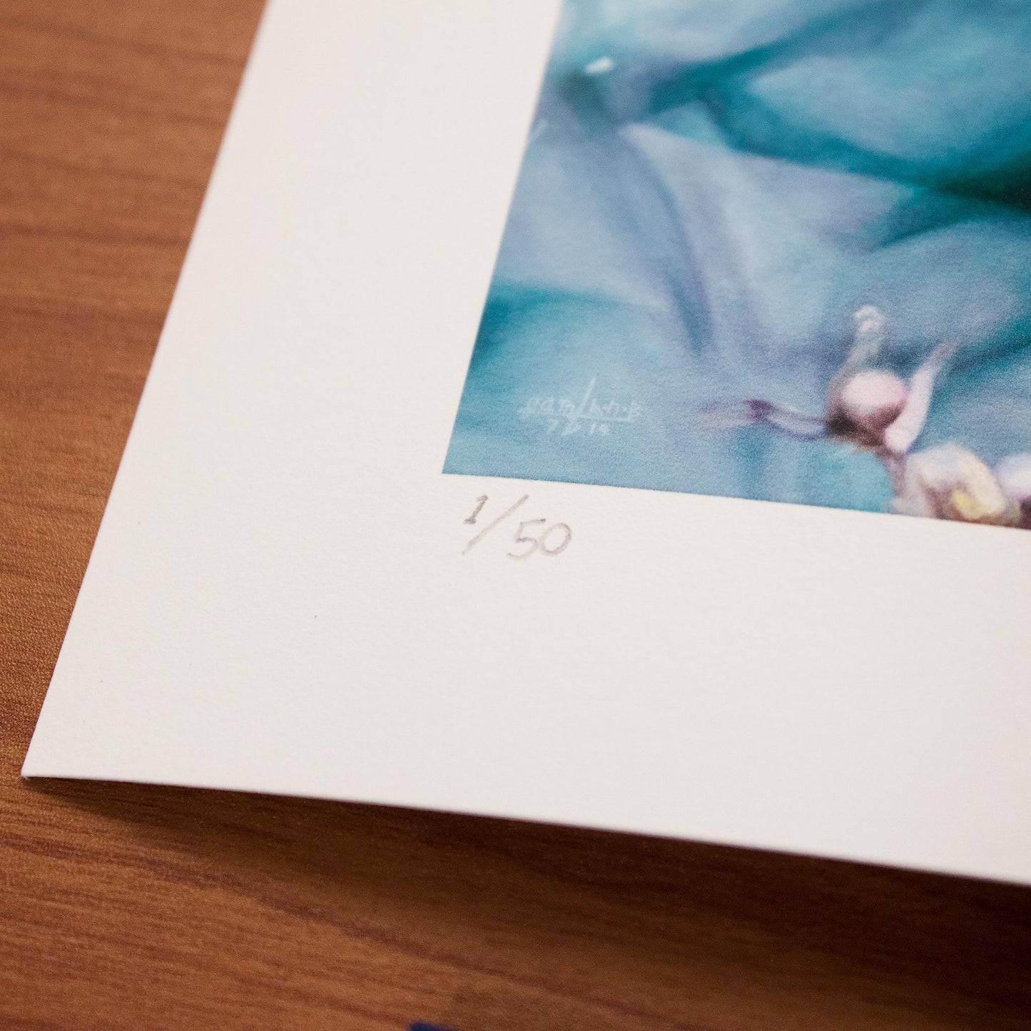 Detail of Signed fine art print by artist Joshua Martin of Cardinal in Winter.