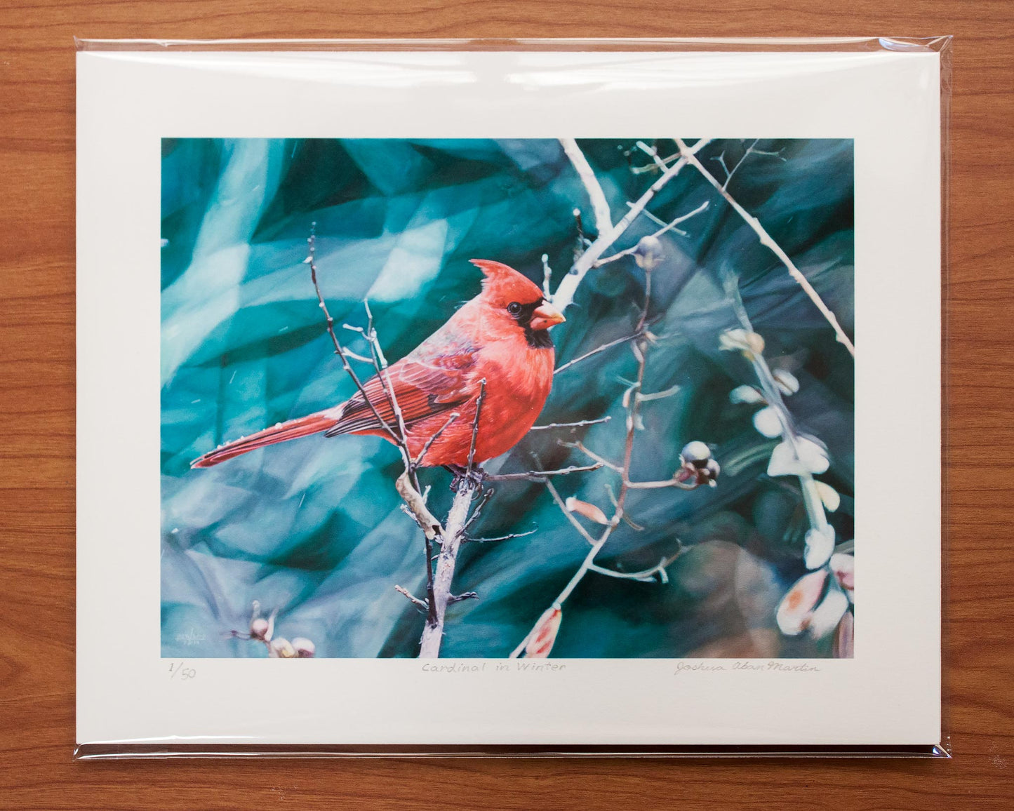 Signed fine art print by artist Joshua Martin of Cardinal in Winter.