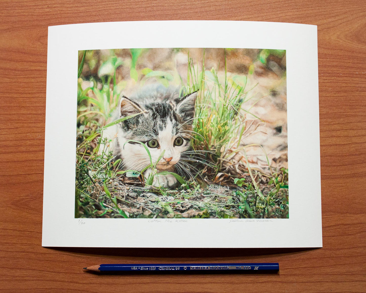 Signed fine art print by artist Joshua Martin of Cotton the Kitten.