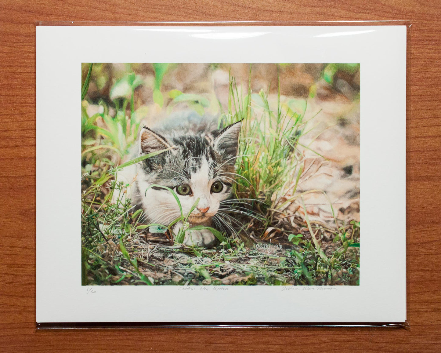 Signed fine art print by artist Joshua Martin of Cotton the Kitten.