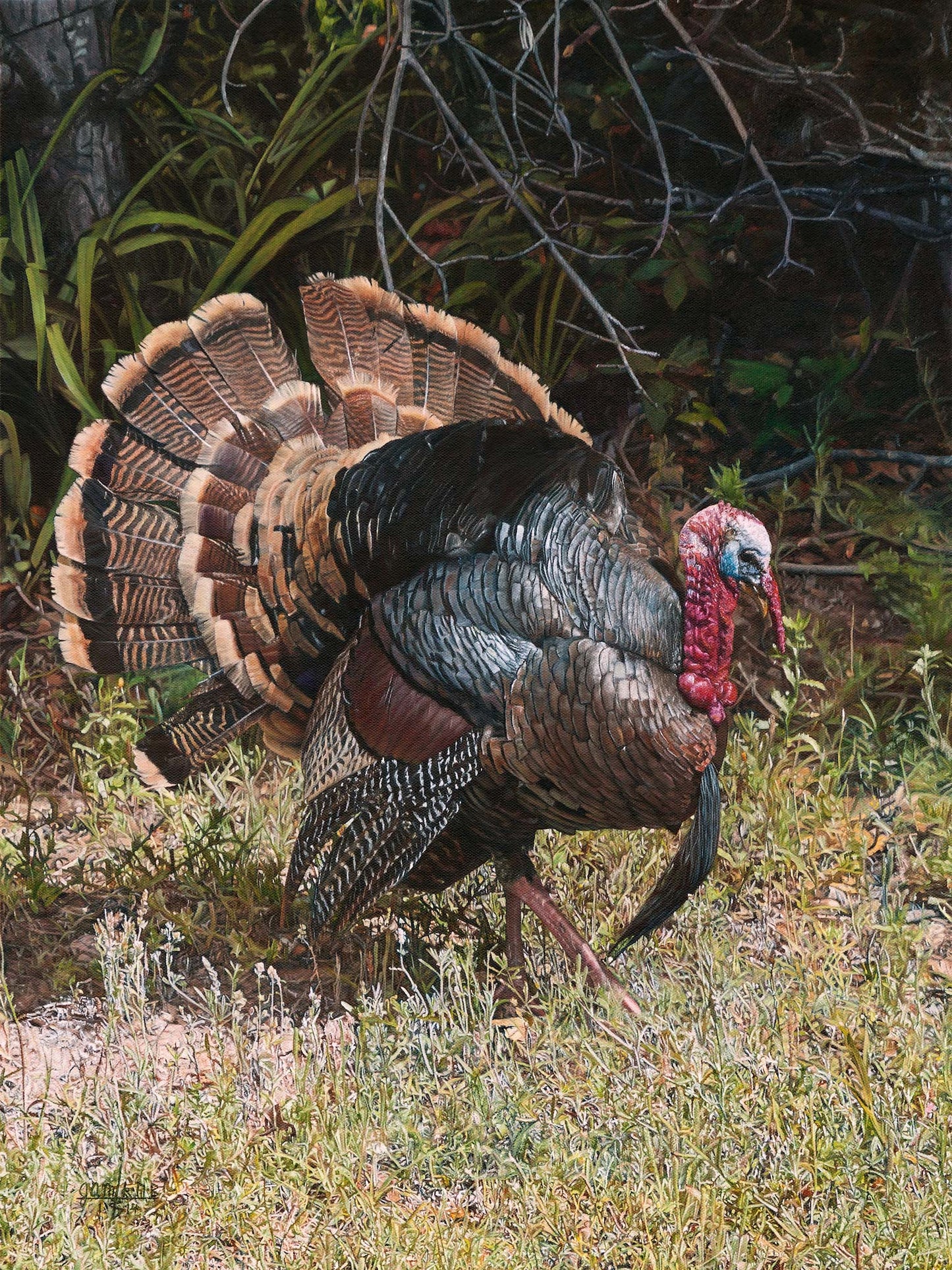 Turkey in the Weeds