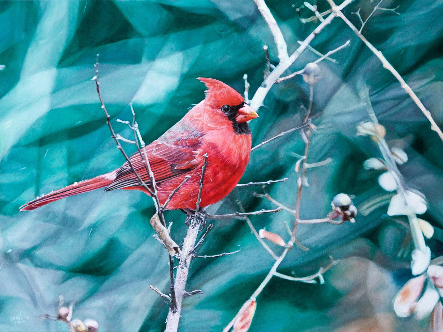Cardinal in Winter