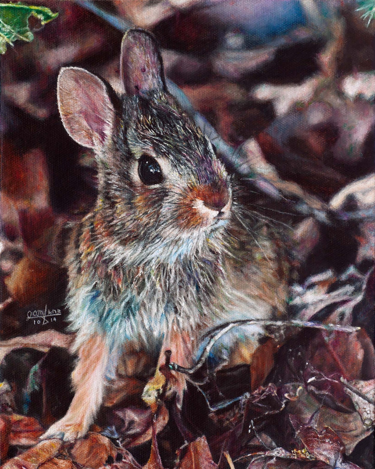 Rabbit in the Woods