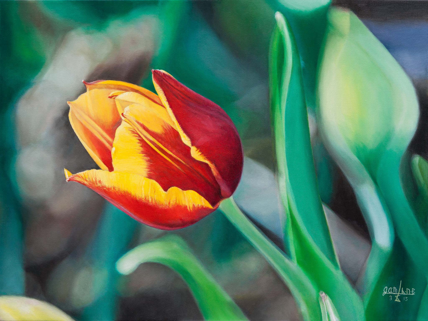 Red and Yellow Tulip
