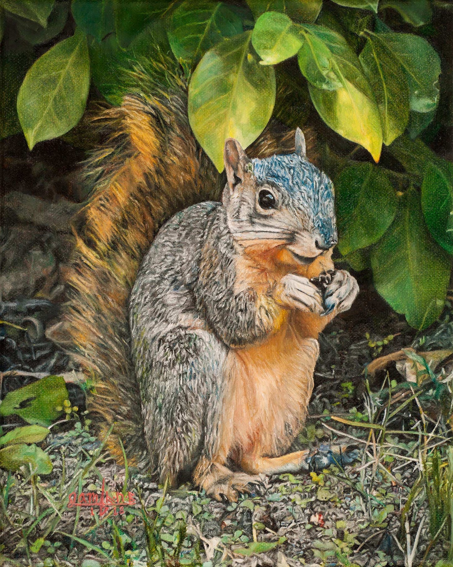 Squirrel Under Bush