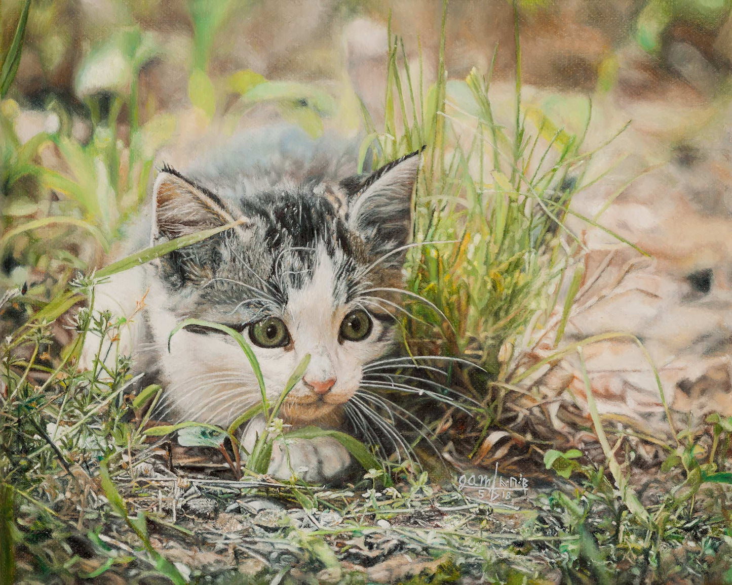 Cotton the Kitten