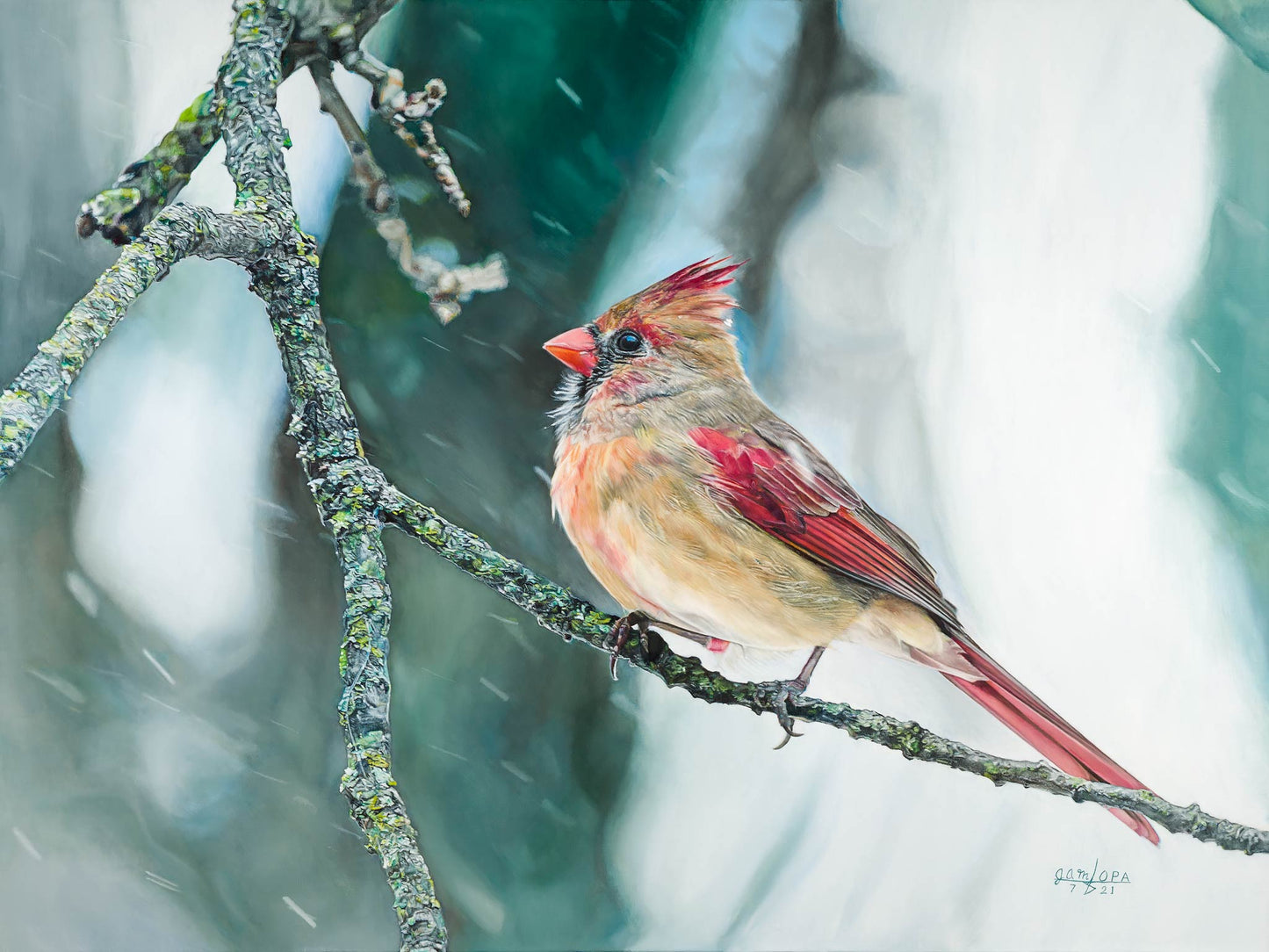 Cardinal in the Snow
