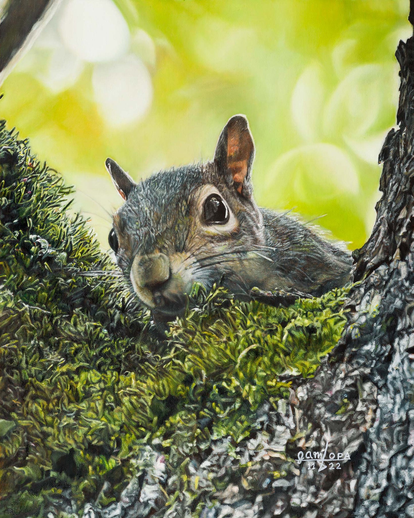 Sneaky Squirrel