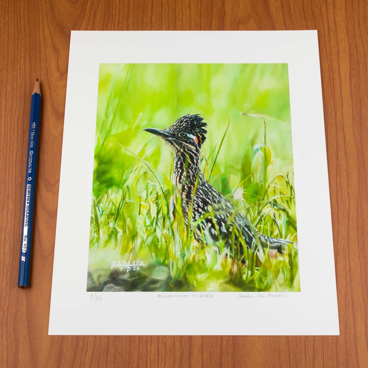 Roadrunner in Grass, Signed Art Print