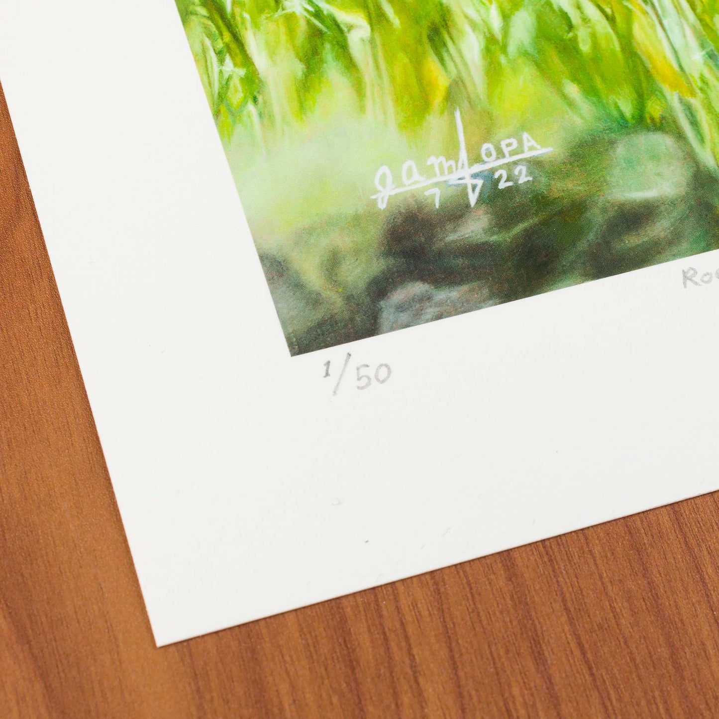Roadrunner in Grass, Signed Art Print