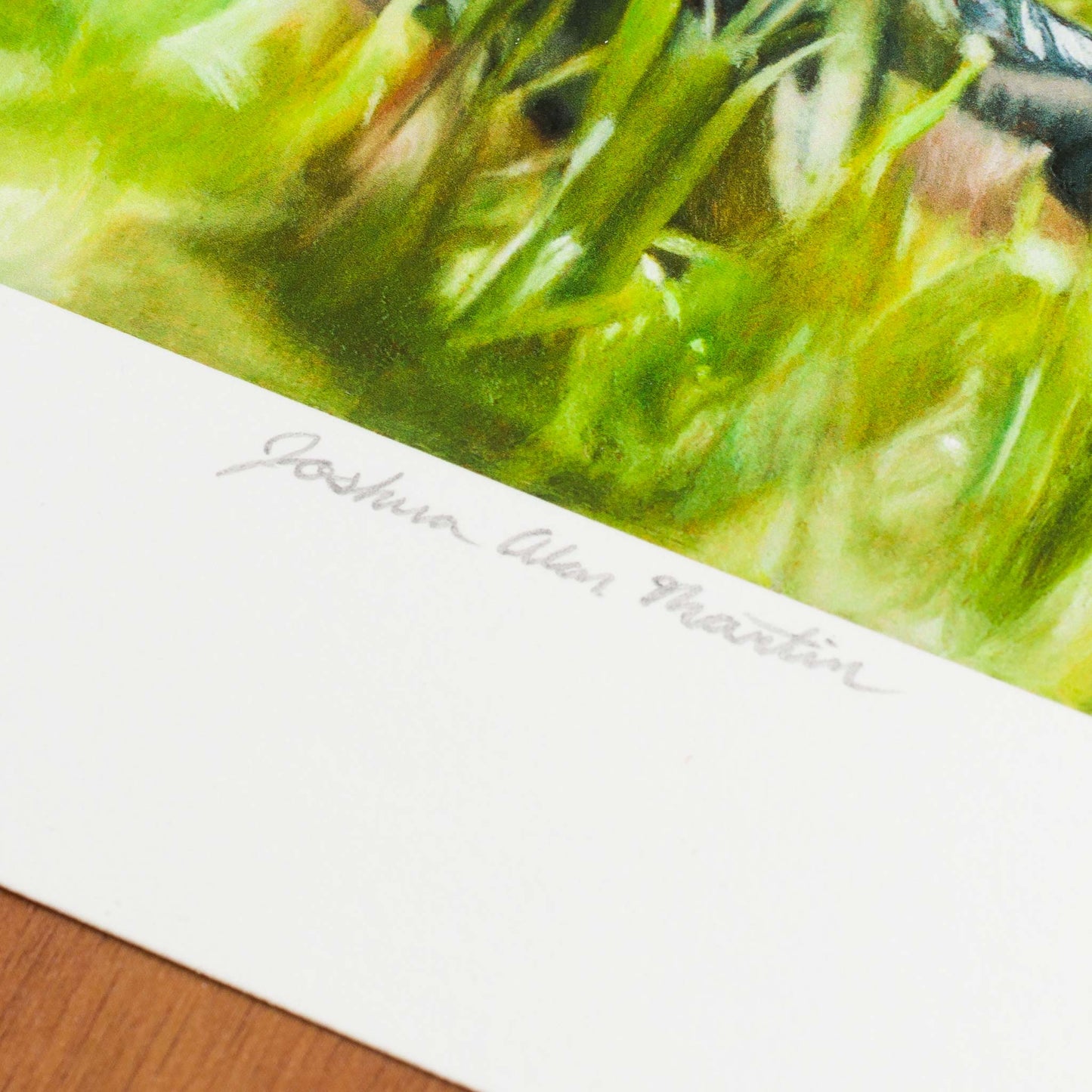 Roadrunner in Grass, Signed Art Print