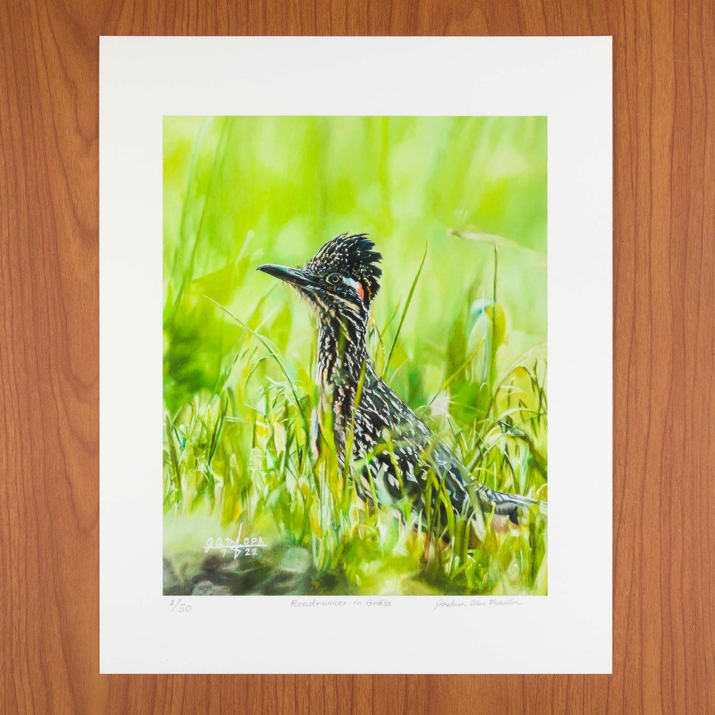 Roadrunner in Grass, Signed Art Print