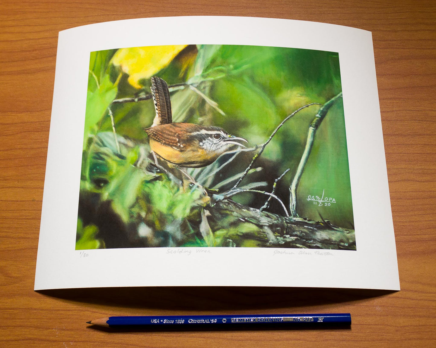 Signed fine art print by artist Joshua Martin of Scolding Wren.
