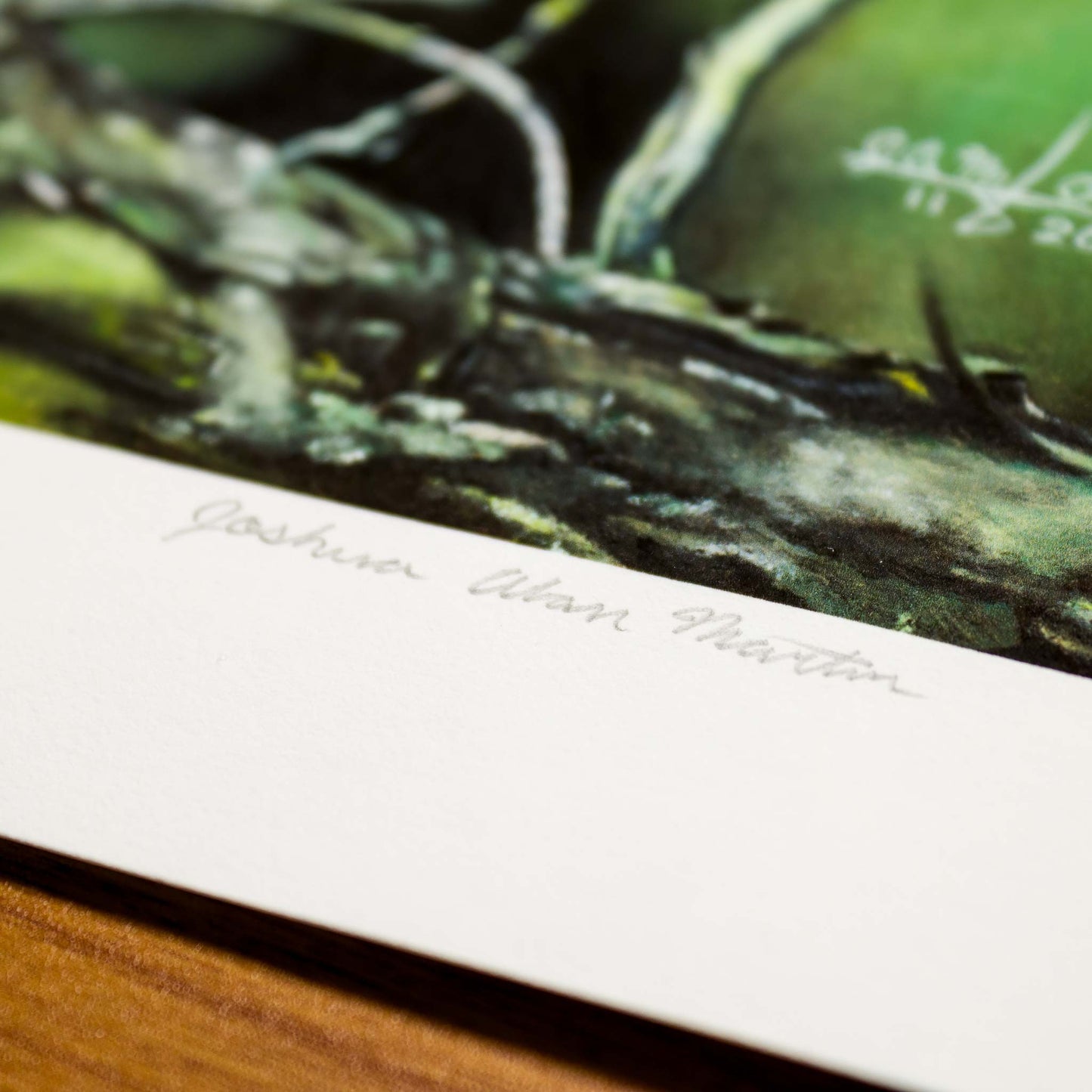Detail of Signed fine art print by artist Joshua Martin of Scolding Wren.