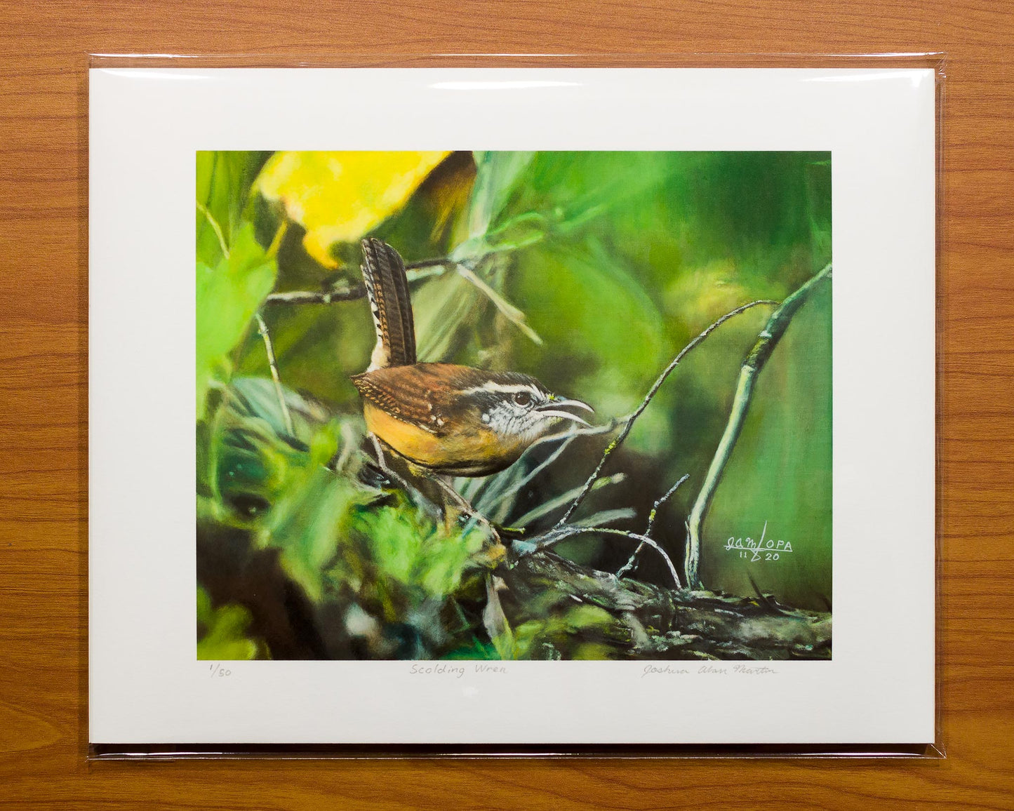 Signed fine art print by artist Joshua Martin of Scolding Wren.