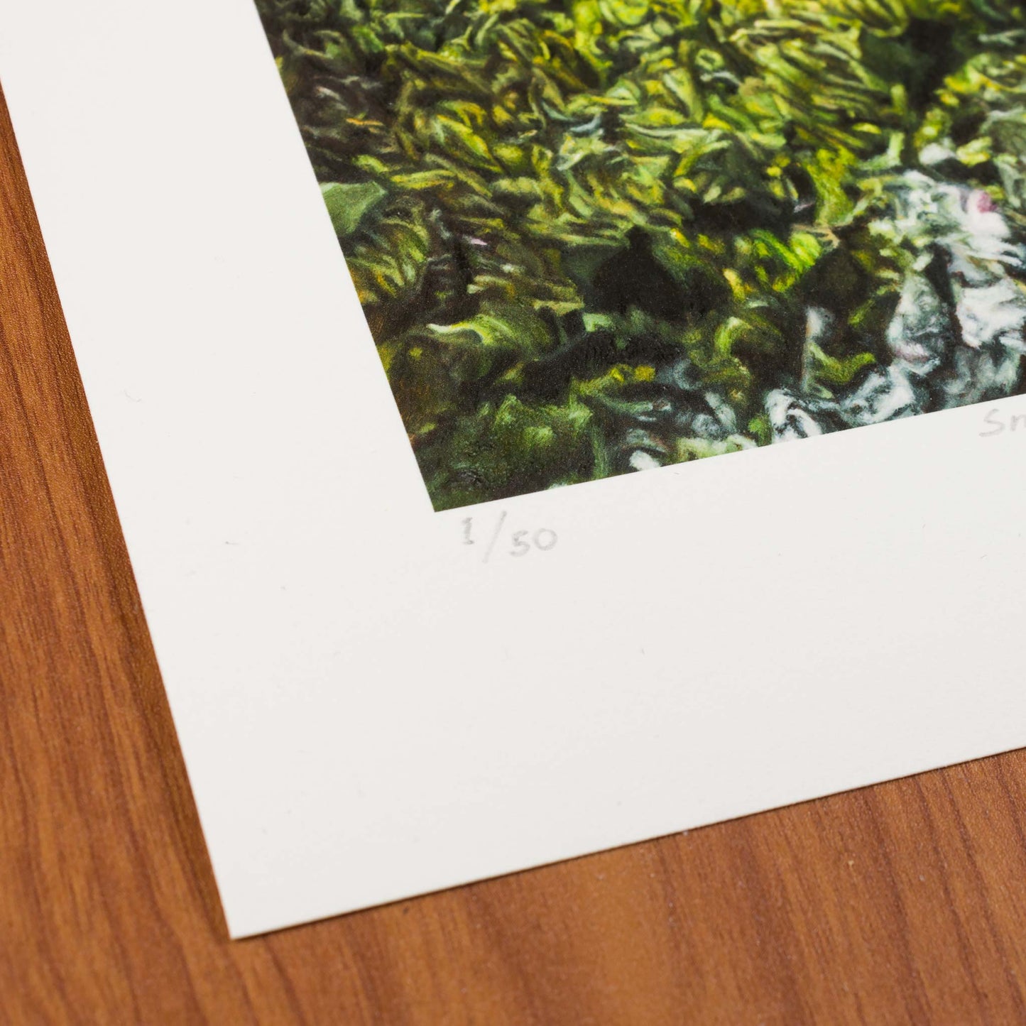 Sneaky Squirrel, Signed Art Print