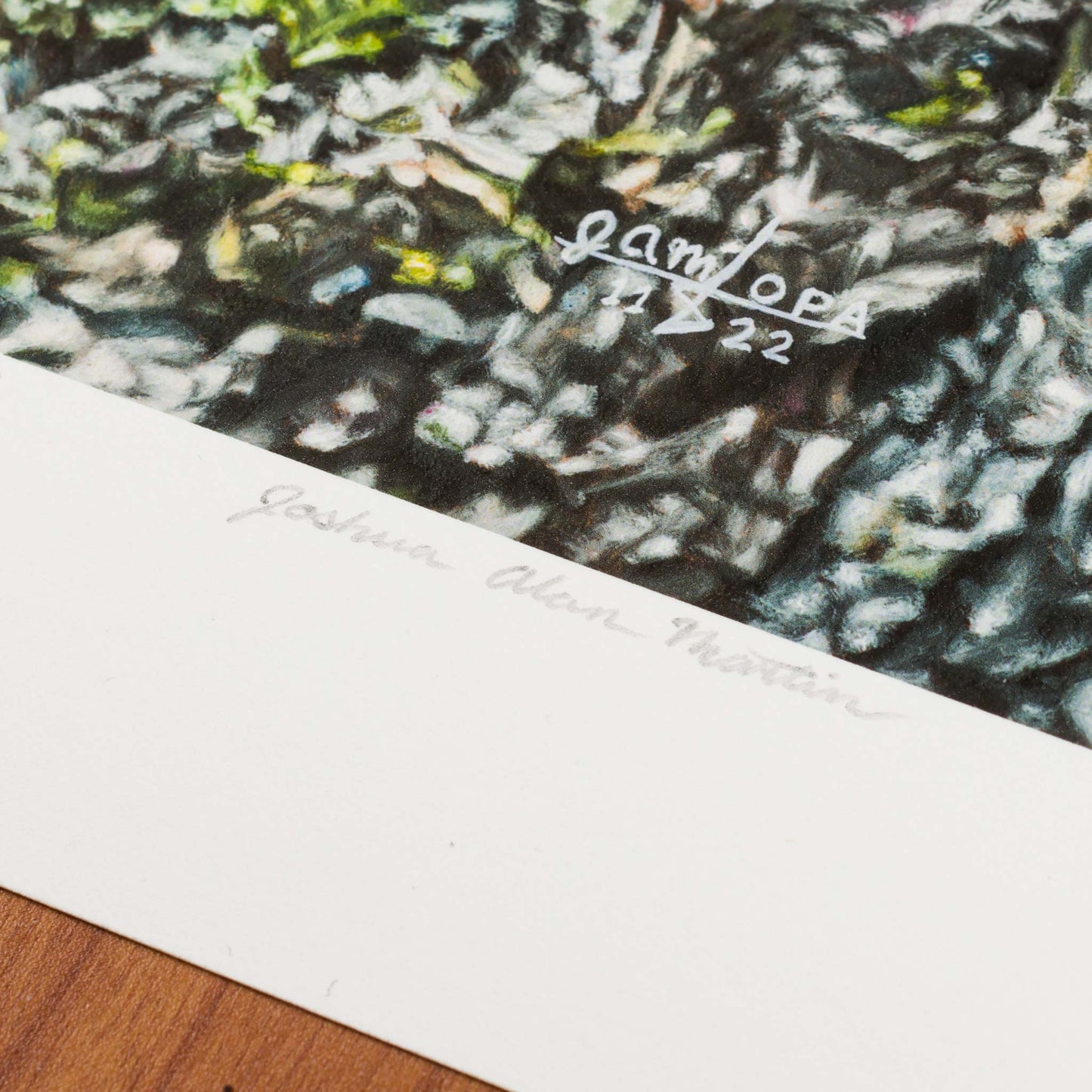 Sneaky Squirrel, Signed Art Print