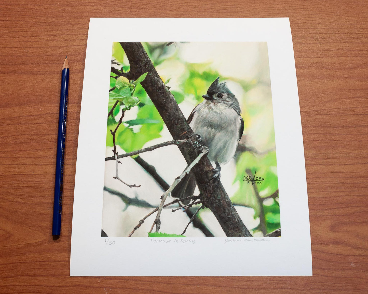Signed fine art print by artist Joshua Martin of Titmouse in Spring.
