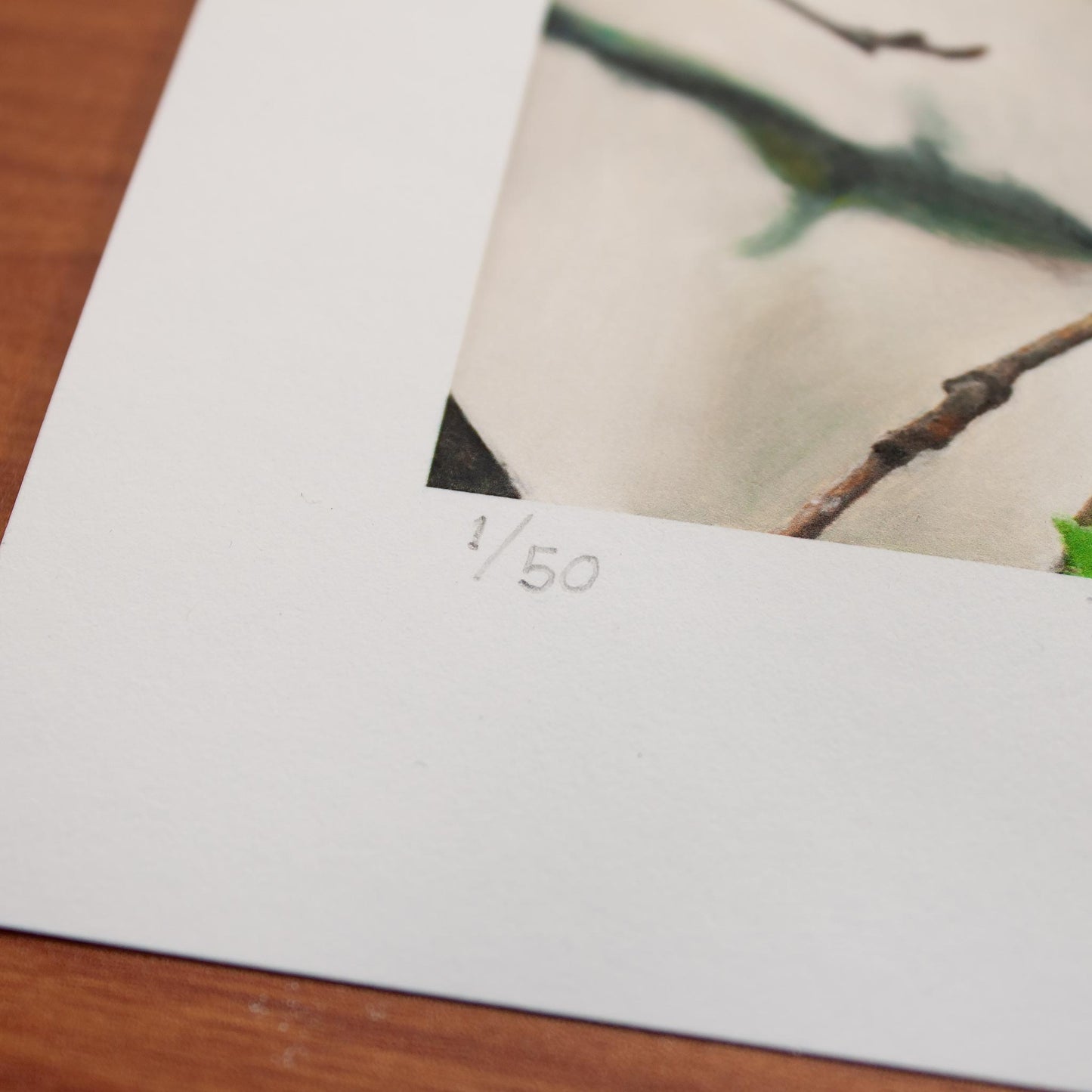 Detail of Signed fine art print by artist Joshua Martin of Titmouse in Spring.