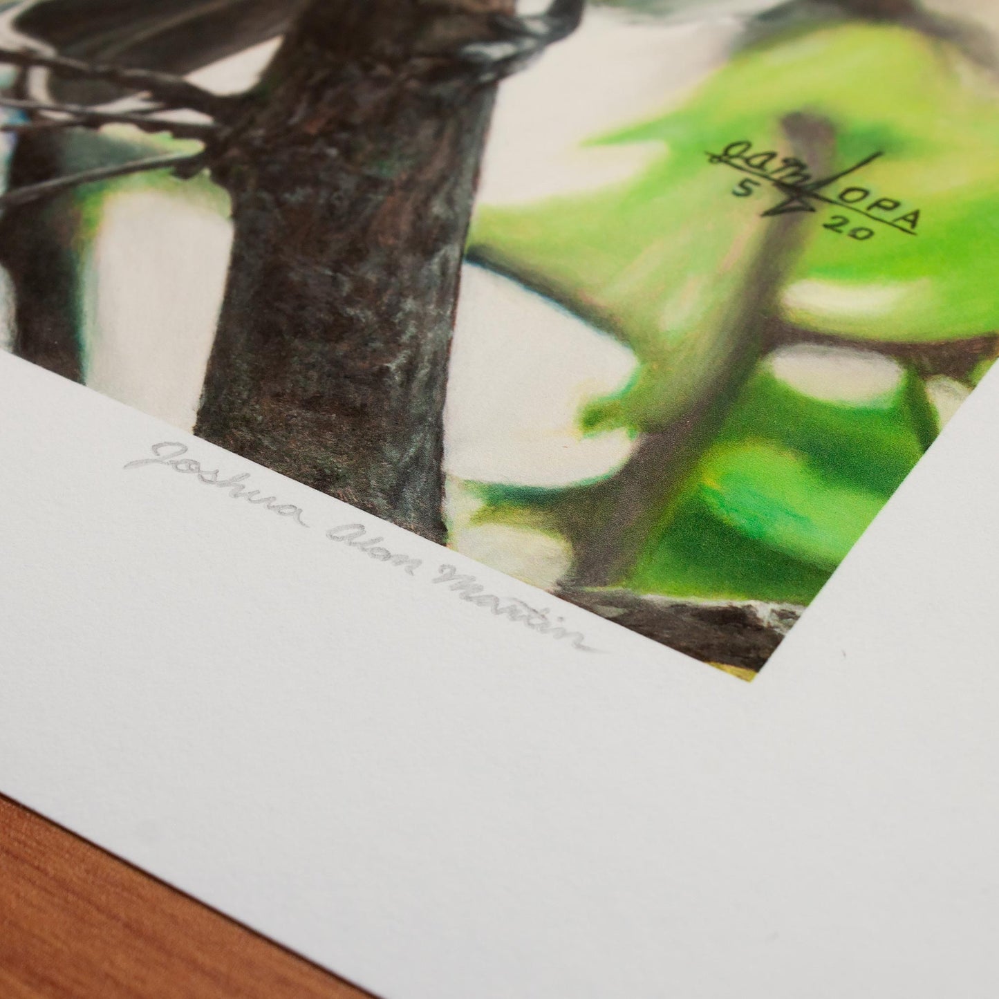 Detail of Signed fine art print by artist Joshua Martin of Titmouse in Spring.