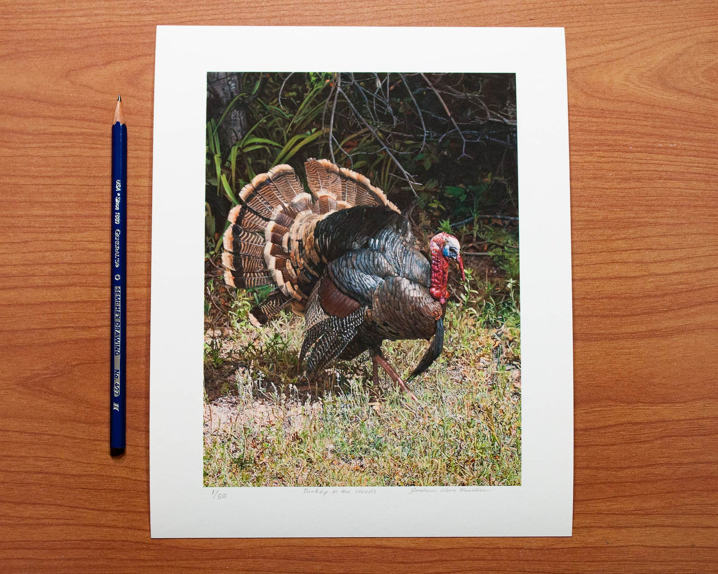 Signed fine art print by artist Joshua Martin of Turkey in the Weeds.