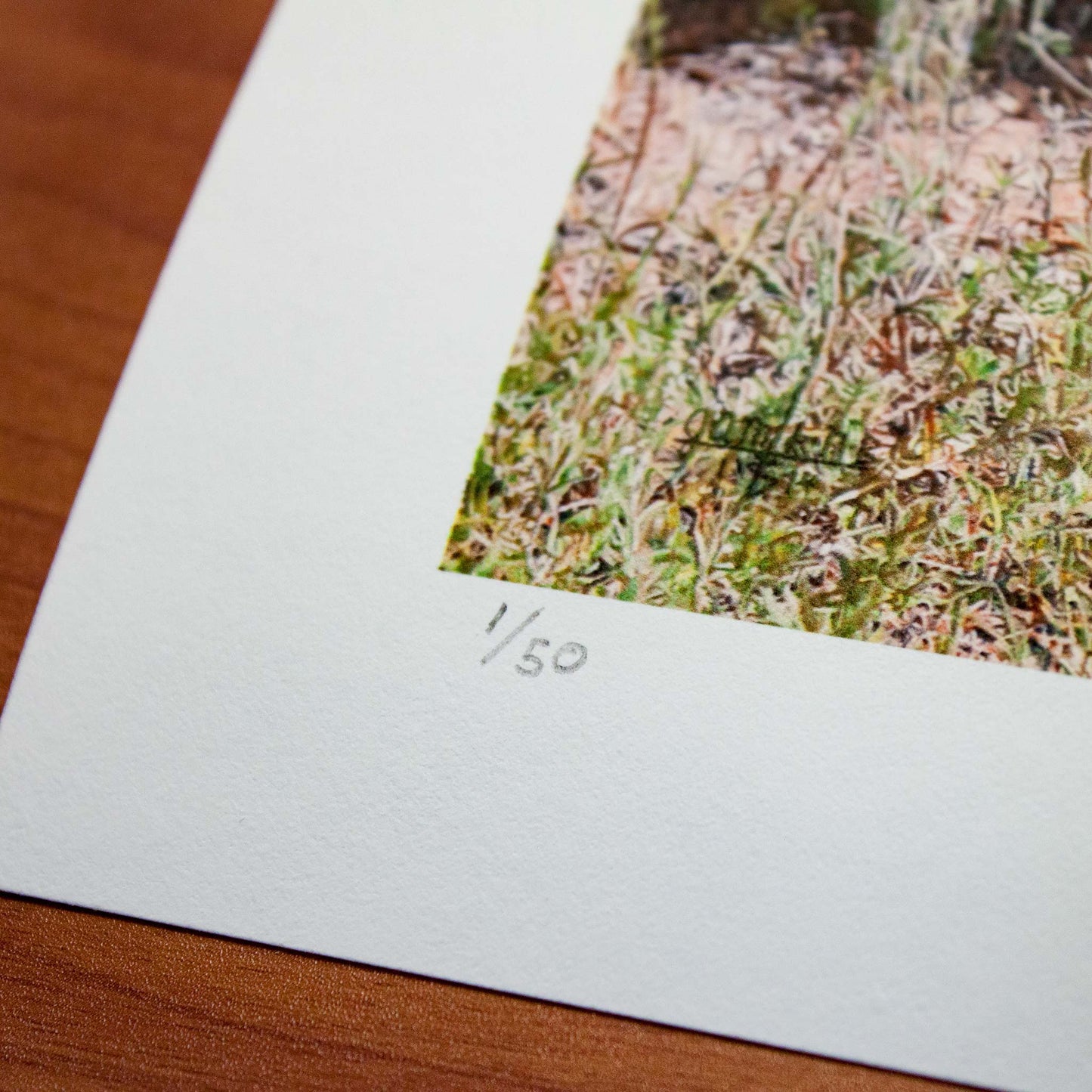 Detail of Signed fine art print by artist Joshua Martin of Turkey in the Weeds.