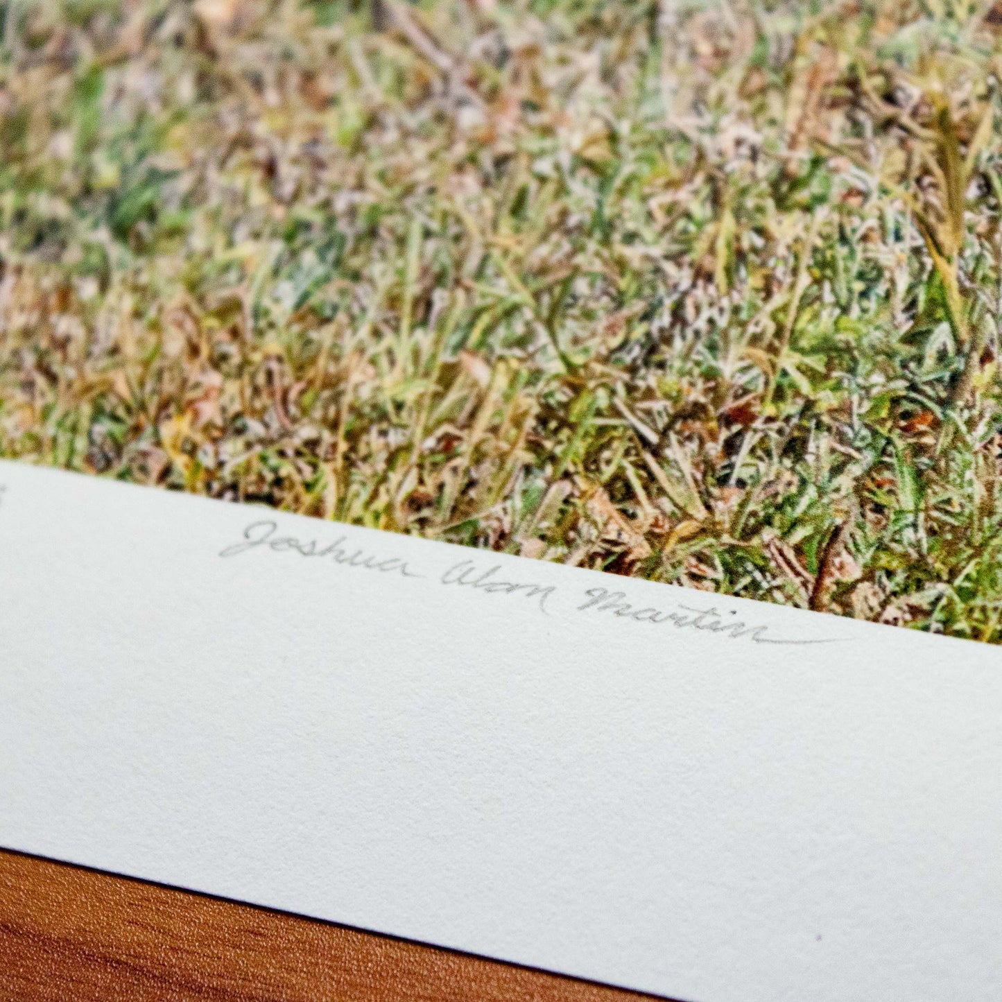Detail of Signed fine art print by artist Joshua Martin of Turkey in the Weeds.