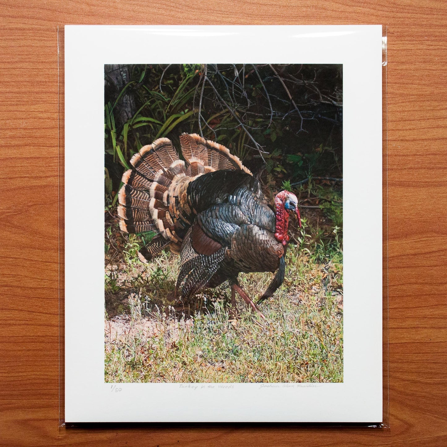 Signed fine art print by artist Joshua Martin of Turkey in the Weeds.