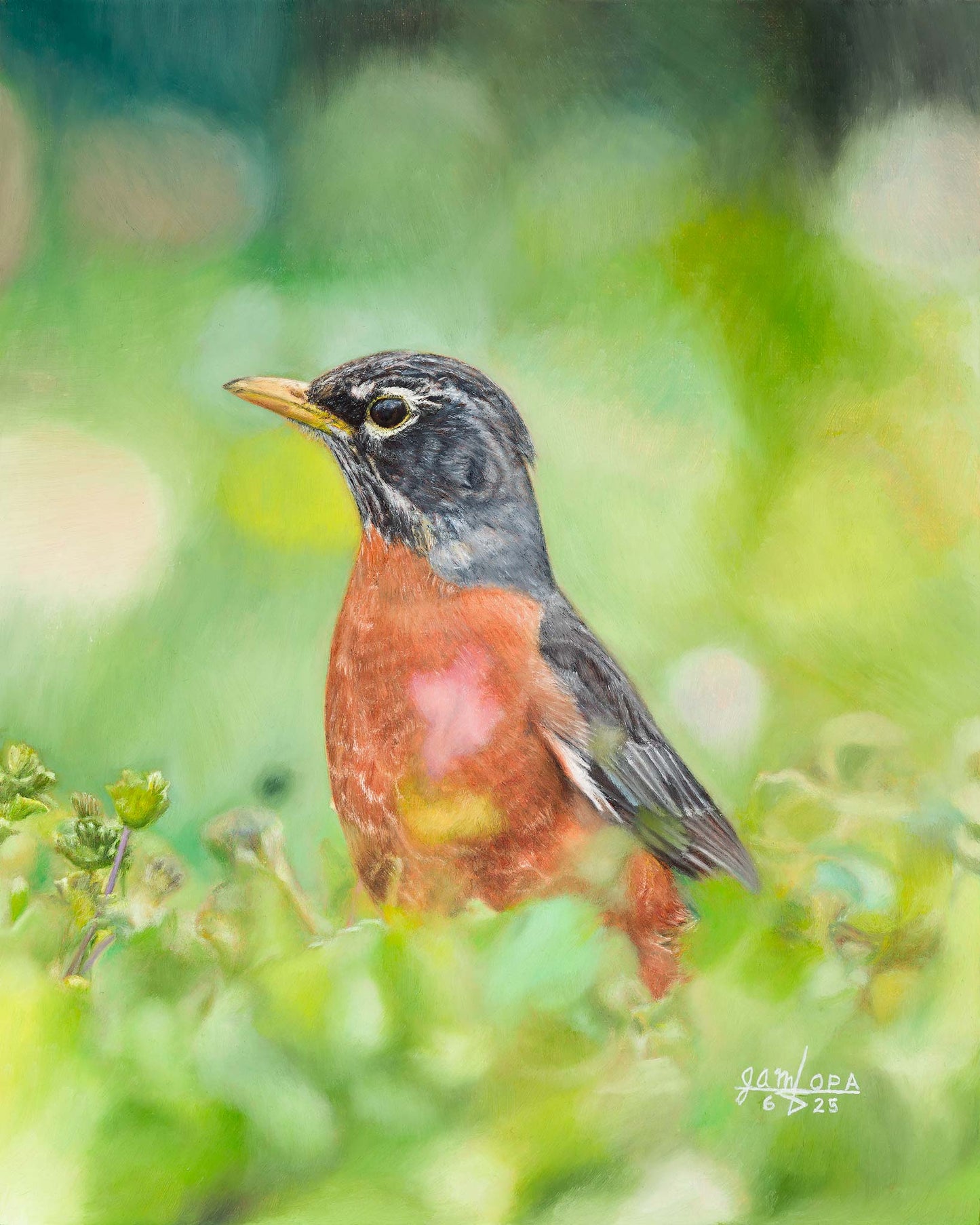 Robin in Spring
