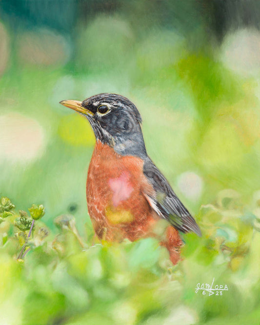 Robin in Spring