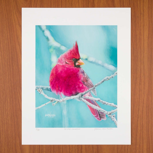 Winter Cardinal, Signed Art Print