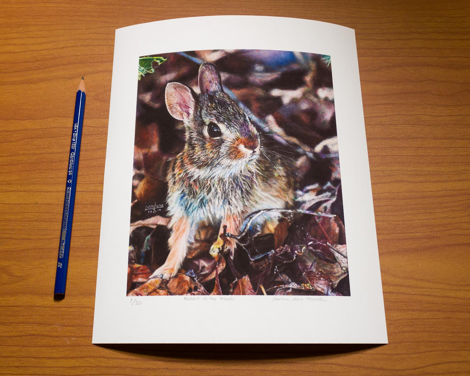 Signed fine art print by artist Joshua Martin of Rabbit in Woods..