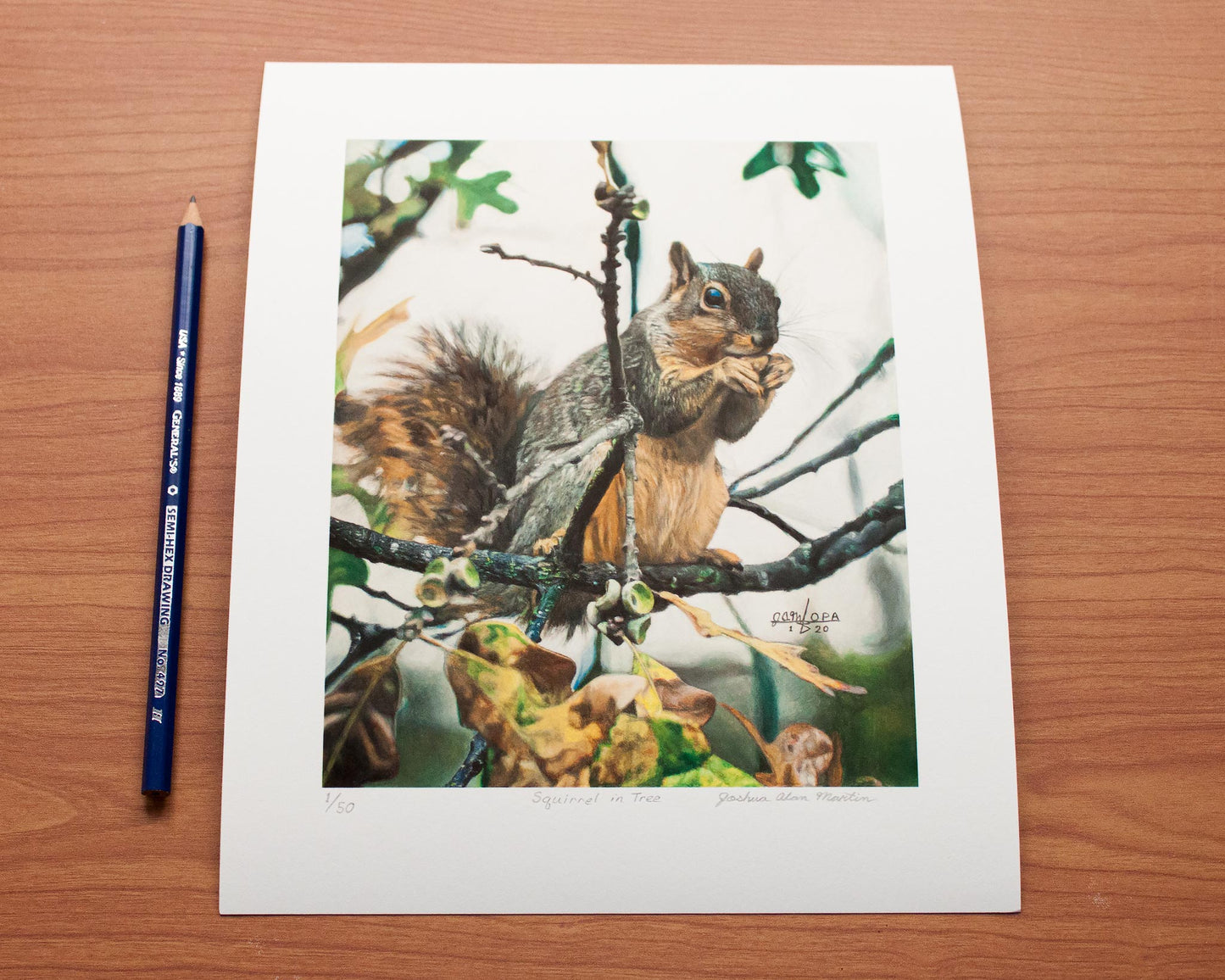 Signed fine art print by artist Joshua Martin of Squirrel in Tree.