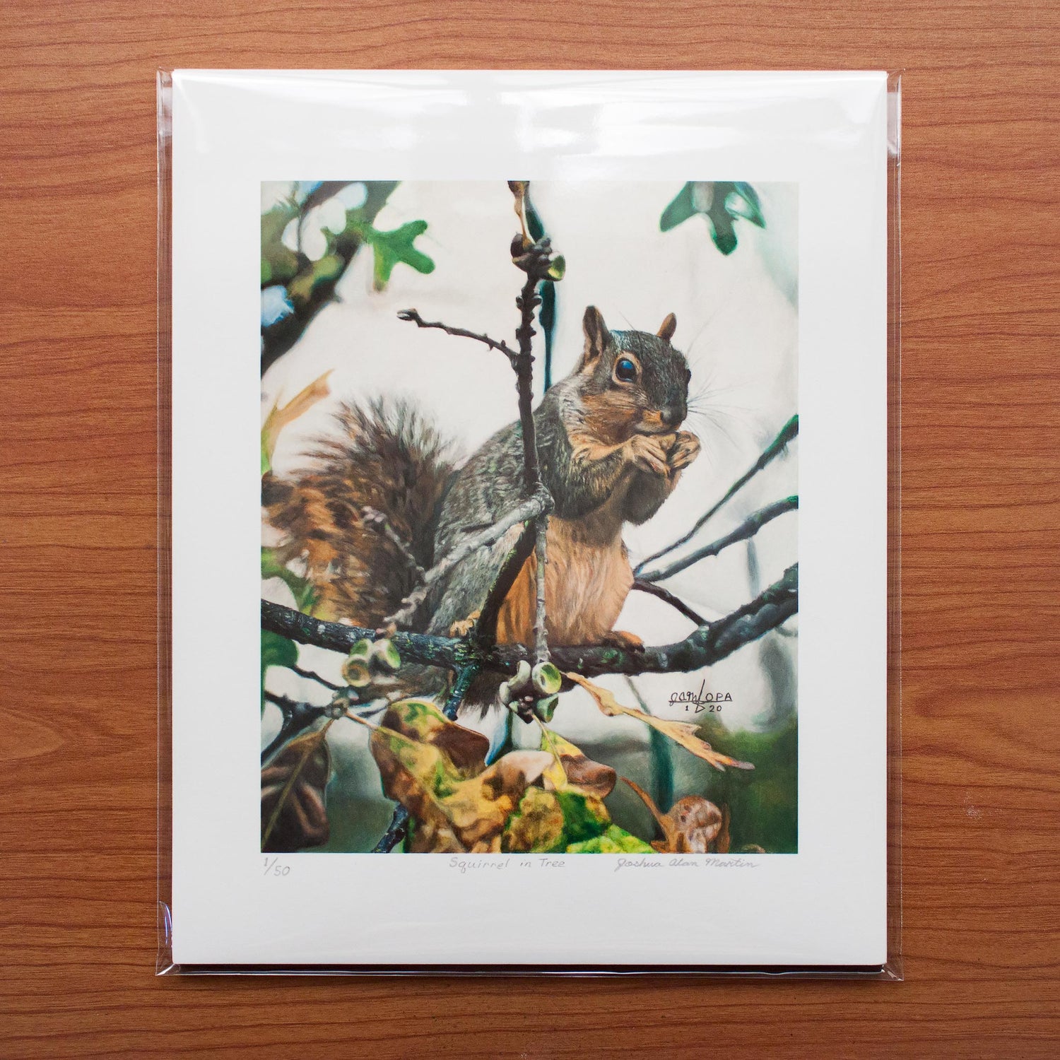Signed fine art print by artist Joshua Martin of Squirrel in Tree.