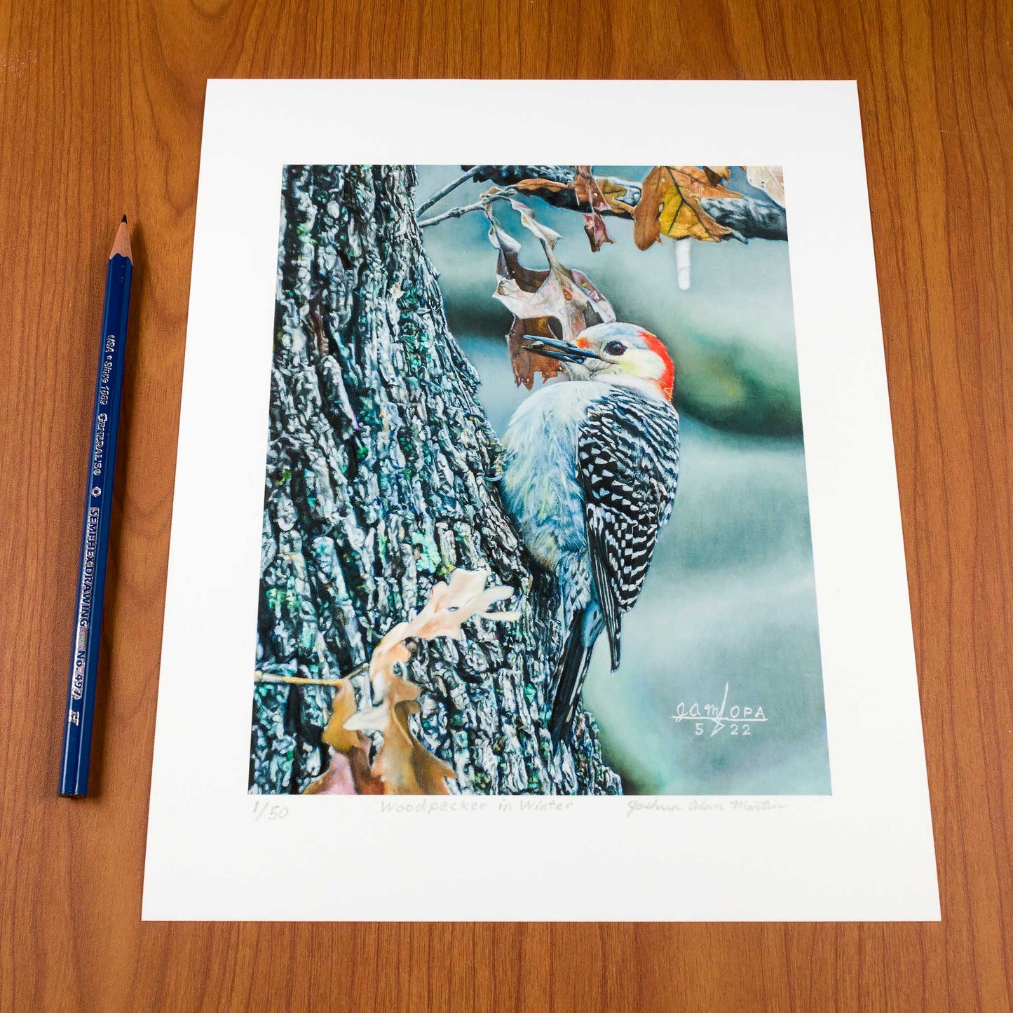 Woodpecker in Winter, Signed Art Print